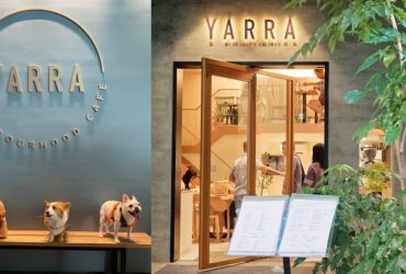 【新店餐廳】YARRA Cafe 澳式早午餐 台北捷運小碧潭站 寵物友善餐廳 菜單價位 寵物可落地 獨立包廂 狗狗慶生派對